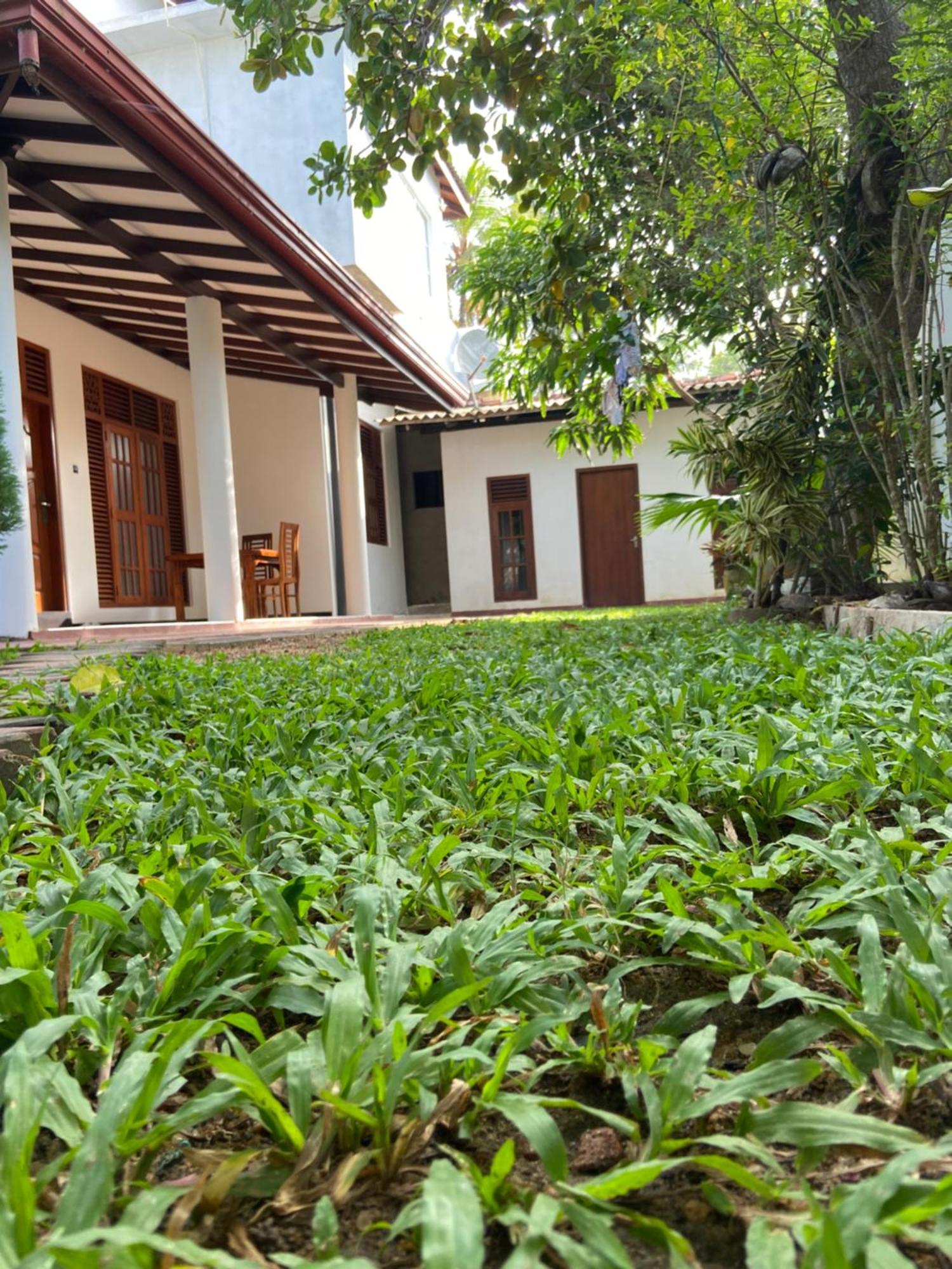 Mirissa Gold Rush Villa Exteriér fotografie
